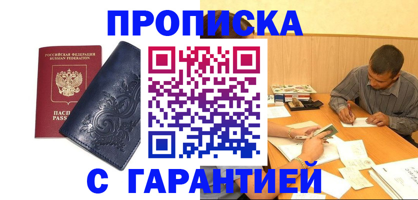 прописка поиск в Шадринске
